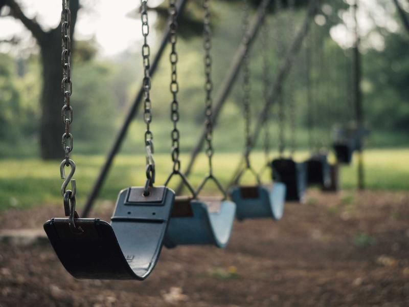 seed-image-9